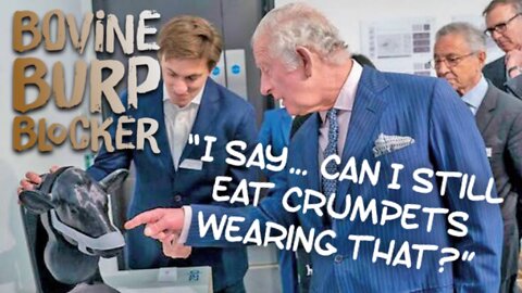BOVINE BURP BLOCKER - Prince Charles Wants to Mask Cows