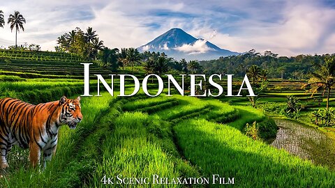 Indonesia Nature Beauty | Royalty-Free Stock Footage (No Copyright Video)