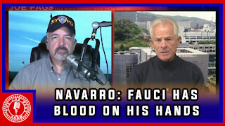 Peter Navarro Talks Election, Fauci, Audits, and More!