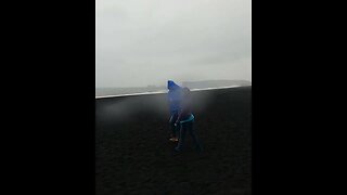 Reynisfjara Black Sand Beach short #travel #thingvellir#blacksandasmr