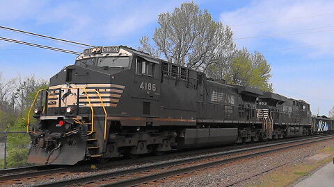 Norfolk Southern Mixed Freight Train With Blue Mane