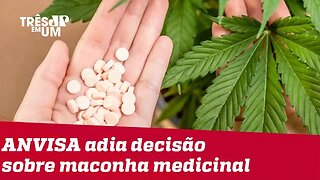 ANVISA adia decisão sobre regulação do cultivo de maconha medicinal