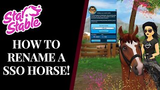 How To: Rename a Horse On SSO! Star Stable Quinn Ponylord