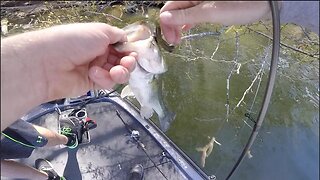 CRAZY Fish Catch -- Finnese Fishing and Mail Time!