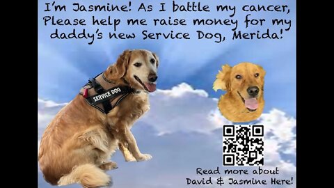 Service Dog Saves PTSD Veteran Life Atleast 6 Times Now Raising Money For A New Service Dog