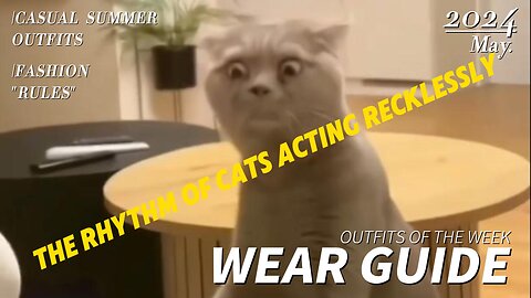 The rhythm of cats acting recklessly