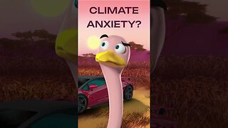 Climate Anxiety