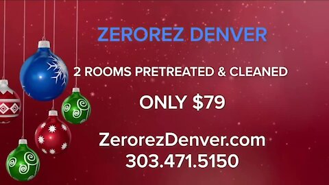 Deep Clean For The Holidays! // Zerorez Denver