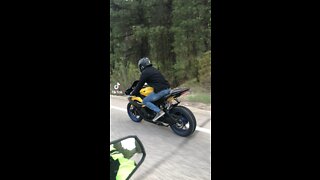 r6 wheelie