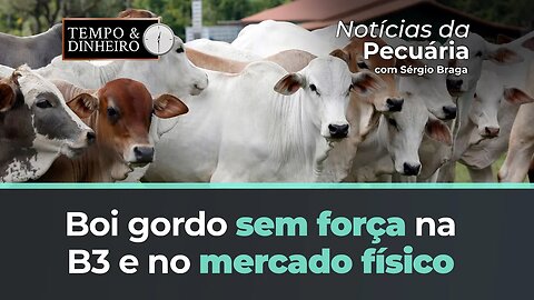 China compra 50% do total da carne exportada pelo Brasil