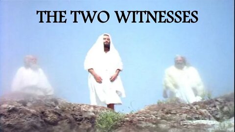 The War against the two Witnesses - The Son of Perdition