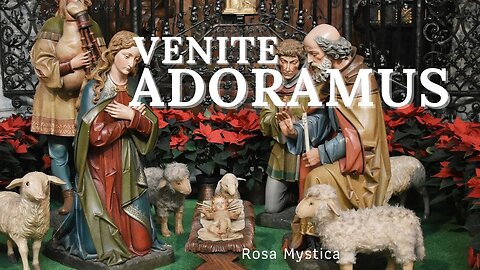 VENITE ADOREMUS