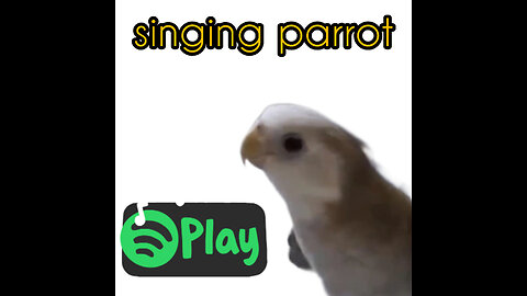 singing parrot