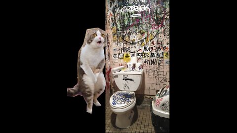 Bronx Bathrooms