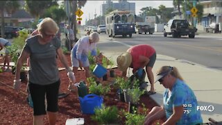 Native plant demonstration and garden planted at Fort Myers Beach