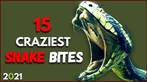 Top Insane Snake Bites On Human - Top Insane Snake Bites Compilation 2021