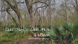 Lake Fausse State Park | Camping Close to Home