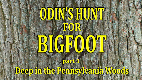 Odin's Hunt For Bigfoot - part 1 - Deep in the Pennsylvania Woods
