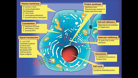 Congressional ET Conference Truth Today Lumen Photon Pure Water Systems