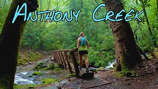 A Rainy Hike in Great Smoky Mountains - Anthony Creek Trail