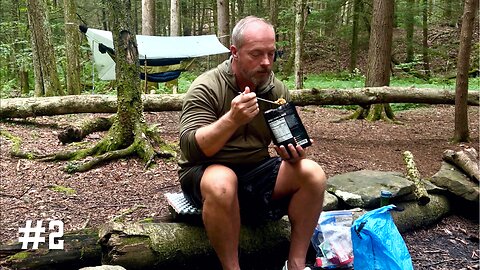 Loyalsock Trail Thru Hike 2024 Part 2 - Cooler day with a great camp site