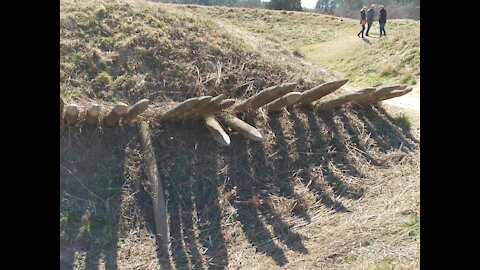 Surrender Field at Yorktown: Where the Deep State Surrendered to the Patriots in 1781