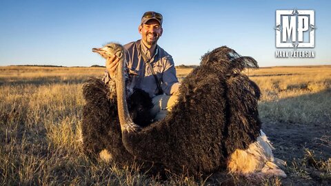 My First Ostrich, South Africa Plains Game 2 of 2 | Mark Peterson Hunting