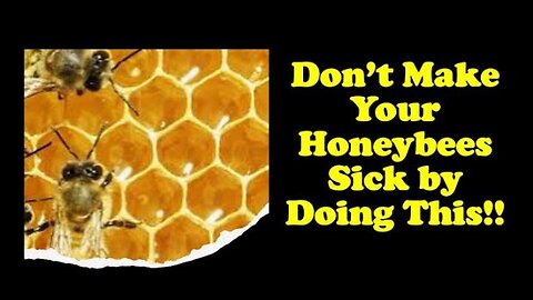 Beekeeping for Beginners - How to Feed Your Bees & When #beekeeping