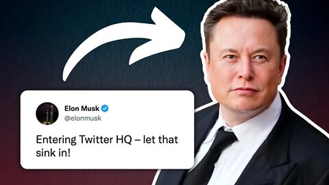 Elon Musk pens love letter to Twitter and free speech