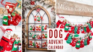 How to make an Advent Calendar for your dog