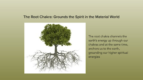Chakra Series: Root Chakra Deep Dive