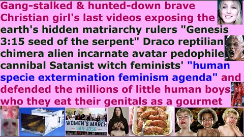 Part 1: Anti-feminist who was thrown out of Internet & hunted by pedophile cannibal Satanist witches