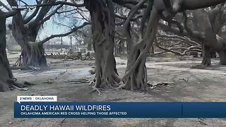 Deadly Hawaii wildfires, OK Red Cross sends volunteers