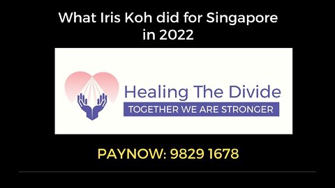 What Iris Koh / Healing the Divide did for Singapore in 2022.