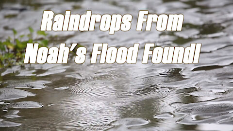 Noah's Flood Raindrop Impressions