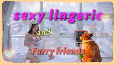 Sexy Lingerie Beauty Try On And furry pets