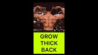 BUILD THICK BACK | Barbell Row and Deadlifts #shorts