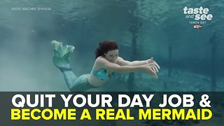 Mermaids Wanted! Weeki Wachee Springs holding auditions to become part of their world | Taste and See Tampa Bay