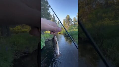 Central Oregon Fishing