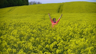 💜❤💜Amazing yellow rapeseed fields, birds, rabbits, flowers and bees. 💜❤💜