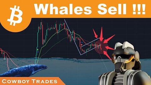 Bitcoin Whales Sell Into This Pattern !!!