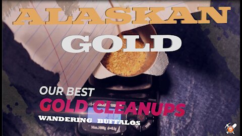 We found the Alaskan Motherlode: Massive Fine Gold