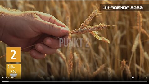 Agenda 2030 delle Nazioni Unite | Parte 2 - Video con sottotitoli in italiano