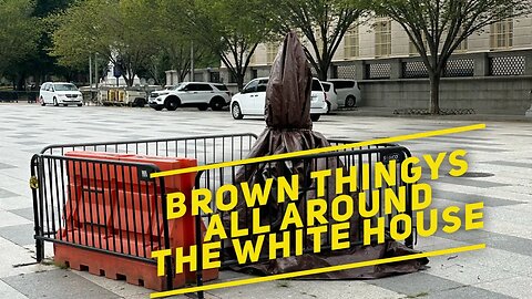 What are the brown things all around the White House?