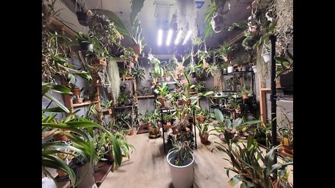 Basement Greenhouse