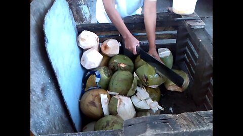 Street Vendor In Manila Preparing My 1st Ever Fresh Coconut