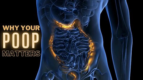 Digestive System Questions and Answers | The Wonders of Poop - CHAPTER 4