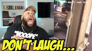 TRY NOT TO LAUGH 😂😂😹🔥 - CAN YOU DO IT??