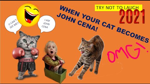 When Your Cat Becomes John Cena!!! #1 😂 Funny Cat Videos 😂 2021 (watch till the end)