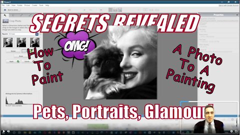 Marilyn Monroe With Pets - SECRETS REVEALED! How To Choose The Perfect Photo To Paint :D
